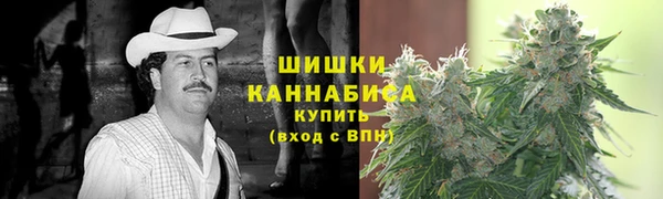 ECSTASY Белокуриха