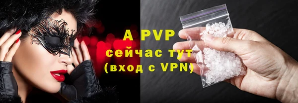 ECSTASY Белокуриха