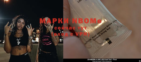 ECSTASY Белокуриха