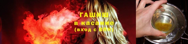 ECSTASY Белокуриха