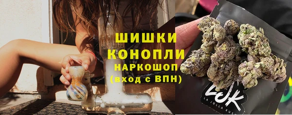 ECSTASY Белокуриха