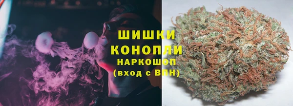 ECSTASY Белокуриха