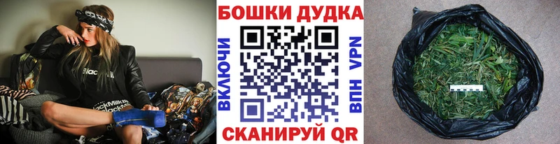 Шишки марихуана сатива  купить наркотик  Славгород 